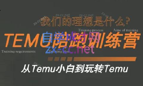 苗苗·拼多多跨境（temu）课程-揽颜居工坊
