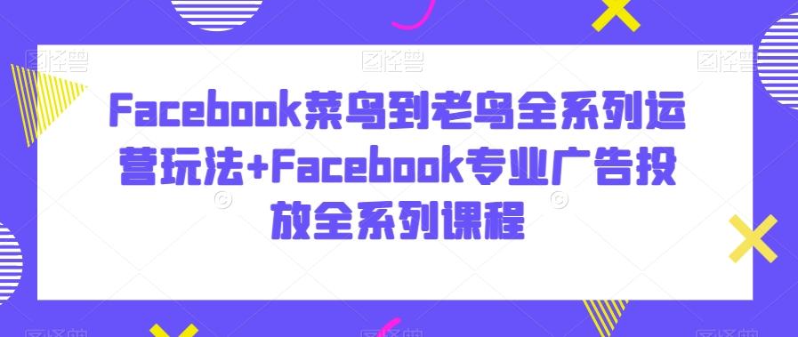 Facebook菜鸟到老鸟全系列运营玩法+Facebook专业广告投放全系列课程-揽颜居工坊
