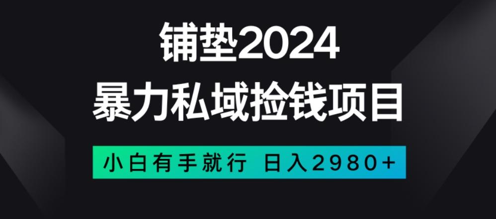 暴力私域捡钱项目，小白无脑操作，日入2980【揭秘】-揽颜居工坊