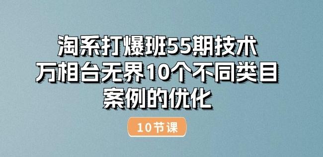 淘系打爆班55期技术：万相台无界10个不同类目案例的优化(10节)-揽颜居工坊