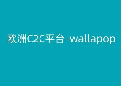欧洲C2C平台-wallapop-kim跨境电商教程-揽颜居工坊