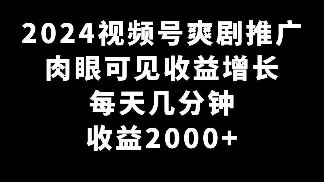 2024视频号爽剧推广，肉眼可见的收益增长，每天几分钟收益2000+-揽颜居工坊