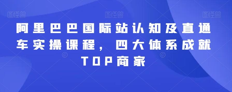 阿里巴巴国际站认知及直通车实操课程，四大体系成就TOP商家-揽颜居工坊