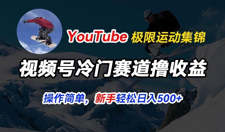 视频号冷门赛道撸收益，YouTube搬运极限运动集锦，暴力起号，操作简单流量高，轻松日入5张【揭秘】-揽颜居工坊
