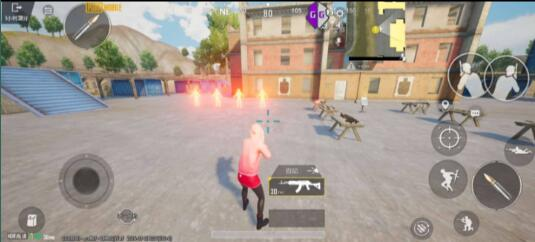 PUBG超广角(支持4服)-揽颜居工坊