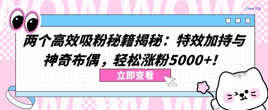 两个高效吸粉秘籍揭秘：特效加持与神奇布偶，轻松涨粉5000+【揭秘】-揽颜居工坊