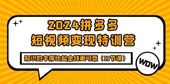(9817期)2024拼多多短视频变现特训营，知识的丰厚比起金钱更可靠(11节课)-揽颜居工坊