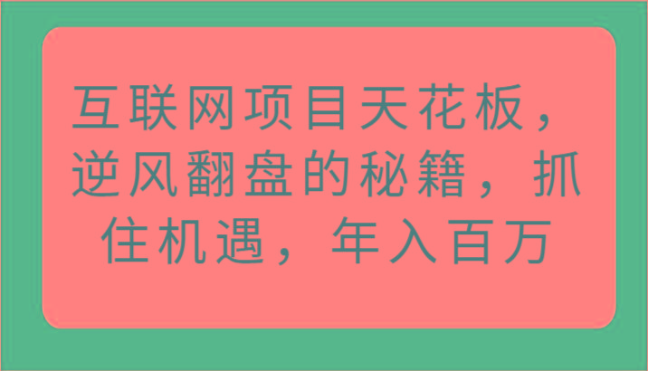 互联网项目天花板,逆风翻盘的秘籍,抓住机遇,年入百万-揽颜居工坊