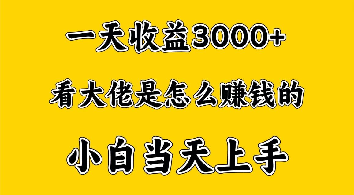 一天赚3000多，大佬是这样赚到钱的，小白当天上手，穷人翻身项目-揽颜居工坊