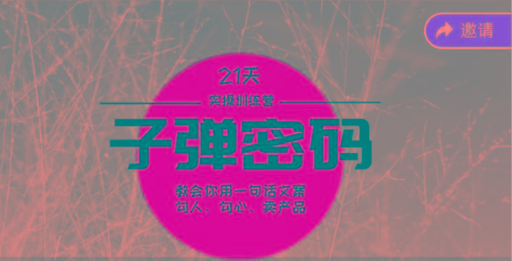 《子弹密码训练营》-用一句话文案勾人勾心卖产品，21天学到顶尖文案大师策略和技巧-揽颜居工坊