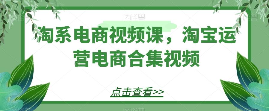 淘系电商视频课，淘宝运营电商合集视频-揽颜居工坊