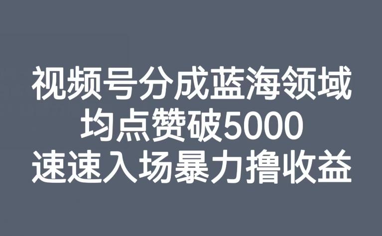 视频号分成蓝海领域，均点赞破5000，速速入场暴力撸收益-揽颜居工坊