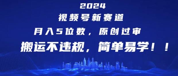 2024视频号新赛道，月入5位数+，原创过审，搬运不违规，简单易学【揭秘】-揽颜居工坊