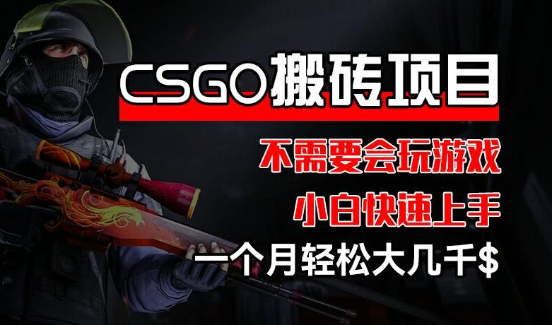 CSGO 装备搬砖项目，操作简单，不需要会玩游戏，小白也能快速上手，一个月轻松大几千【揭秘】-揽颜居工坊