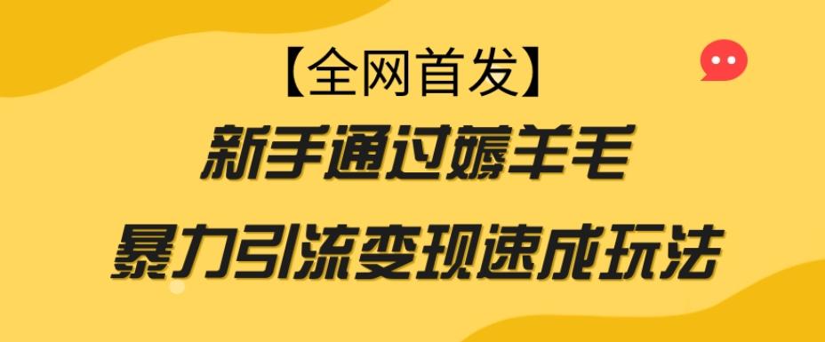 【全网首发】新手通过薅羊毛暴力引流变现速成玩法-揽颜居工坊