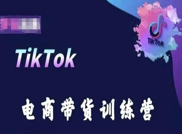 TikTok电商带货训练营，跟随时代潮流，跨境掘金-揽颜居工坊