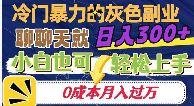 冷门暴利的副业项目，聊聊天就能日入300+，0成本月入过万【揭秘】-揽颜居工坊