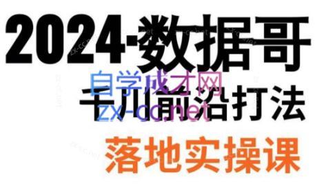 数据哥·2024年千川前沿打法落地实操课-揽颜居工坊