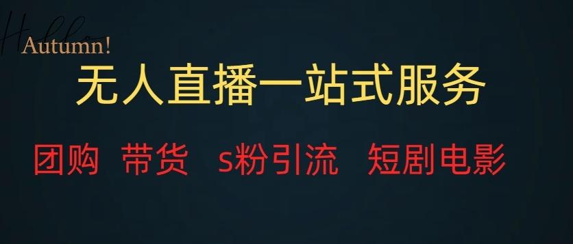 无人直播一站式服务（教程以及变现方式）-揽颜居工坊