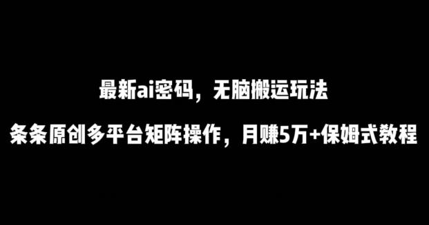 最新ai流量密码，傻瓜式搬运玩法，条条原创，多平台矩阵操作，月赚5万+保姆式教程【揭秘】-揽颜居工坊