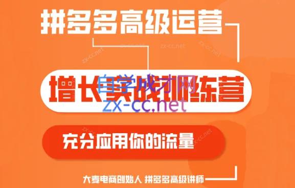 大麦老师·拼多多单品爆款打造课程(更新6月)-揽颜居工坊