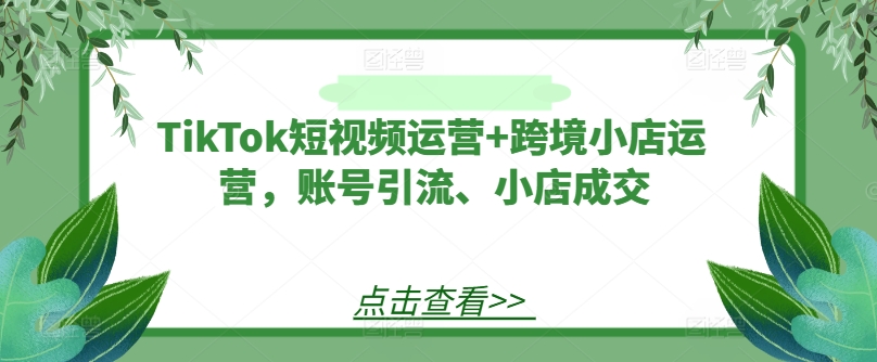 TikTok短视频运营+跨境小店运营，账号引流、小店成交-揽颜居工坊