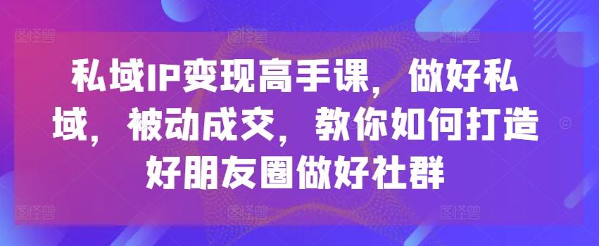 私域IP变现高手课，做好私域，被动成交，教你如何打造好朋友圈做好社群-揽颜居工坊