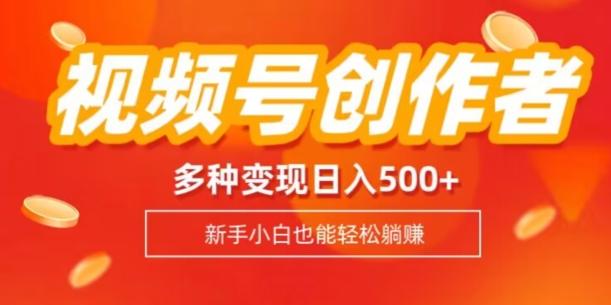 视频号创作者计划，多种变现方式，日入500+【内附1080g视频素材】-揽颜居工坊