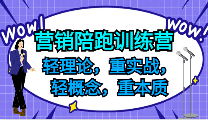 营销陪跑训练营，轻理论，重实战，轻概念，重本质，适合中小企业和初创企业的老板-揽颜居工坊