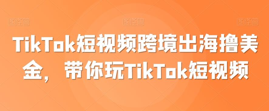 TikTok短视频跨境出海撸美金，带你玩TikTok短视频-揽颜居工坊