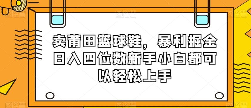 卖莆田篮球鞋，暴利掘金日入四位数新手小白都可以轻松上手【揭秘】-揽颜居工坊