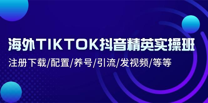 海外TIKTOK抖音精英实操班：注册下载/配置/养号/引流/发视频/等等-揽颜居工坊