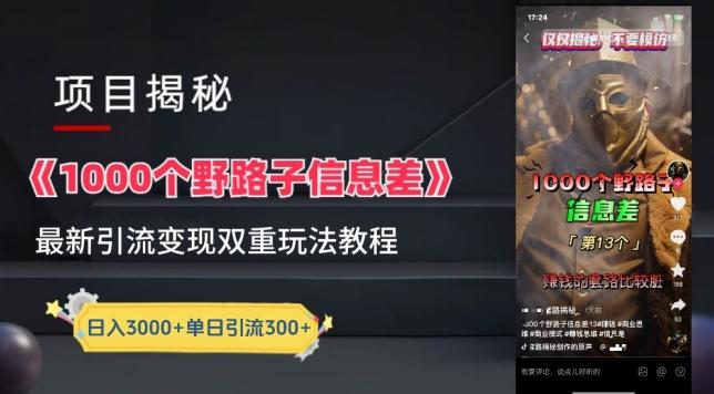 一千个野路子信息差最新玩法教程-变现+引流的玩法具体拆解【揭秘】-揽颜居工坊