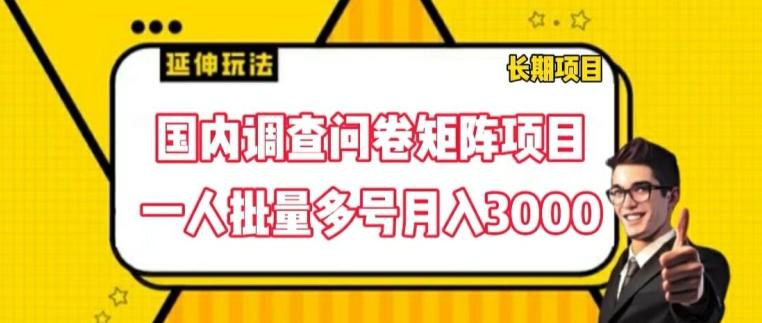 国内调查问卷矩阵项目，一人批量多号月入3000【揭秘】-揽颜居工坊