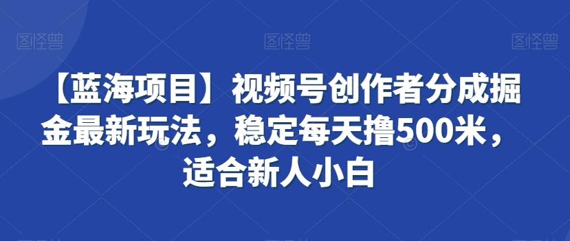 【蓝海项目】视频号创作者分成掘金最新玩法，稳定每天撸500米，适合新人小白【揭秘】-揽颜居工坊