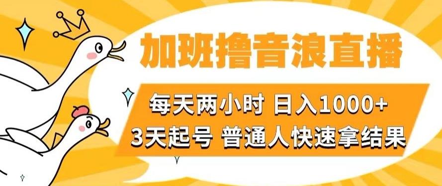 加班撸音浪直播，每天两小时，日入1000+，直播话术才3句，3天起号，普通人快速拿结果【揭秘】-揽颜居工坊