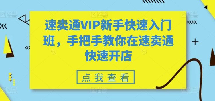 速卖通VIP新手快速入门班，手把手教你在速卖通快速开店-揽颜居工坊