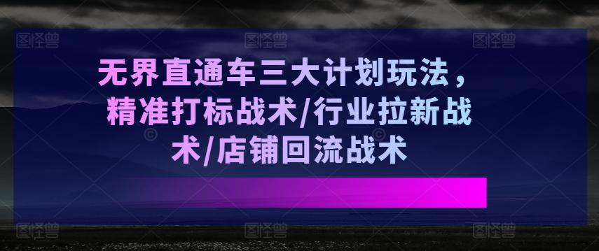 无界直通车三大计划玩法，精准打标战术/行业拉新战术/店铺回流战术-揽颜居工坊