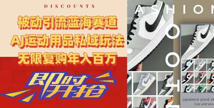 被动引流蓝海赛道，AJ运动用品私域玩法，无限复购年入百万【揭秘】-揽颜居工坊