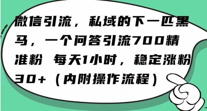 怎么搞精准创业粉？微信新赛道，每天一小时，利用Ai一个问答日引100精准粉-揽颜居工坊