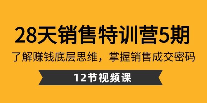 28天销售特训营5期：了解赚钱底层思维，掌握销售成交密码（12节课）-揽颜居工坊