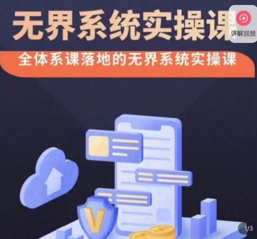 老衲·无界系统实操课，全体系落地无界改版后选择、出价、高投产做付费引流-揽颜居工坊