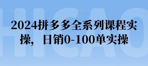 2024拼多多全系列课程实操，日销0-100单实操【必看】-揽颜居工坊