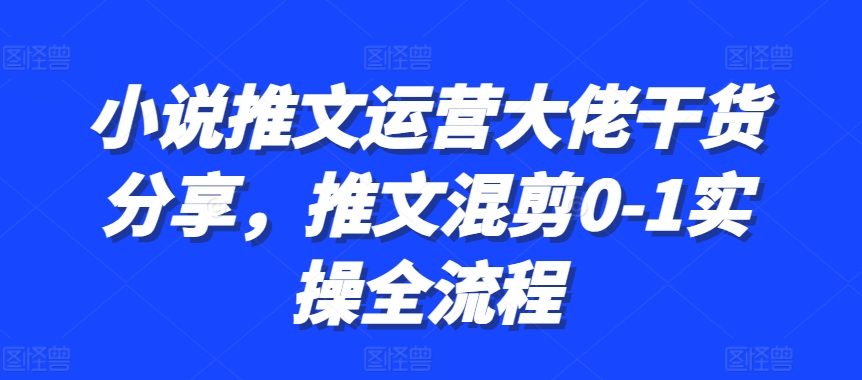小说推文运营大佬干货分享，推文混剪0-1实操全流程-揽颜居工坊