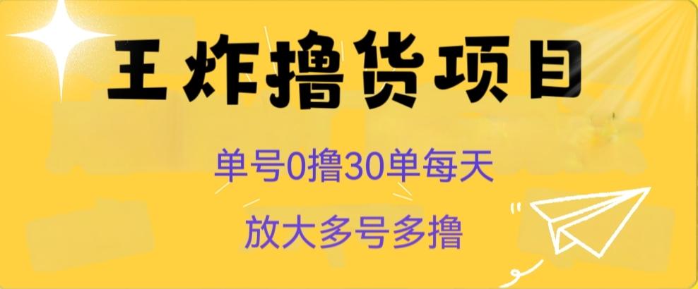 王炸撸货项目,单号0撸30单每天,多号多撸【揭秘】-揽颜居工坊