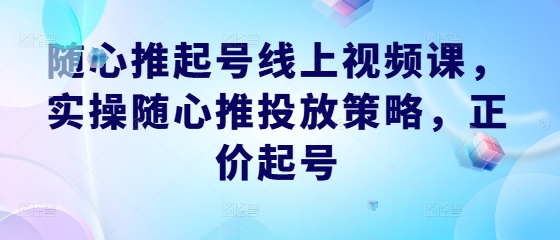 随心推起号线上视频课，实操随心推投放策略，正价起号-揽颜居工坊