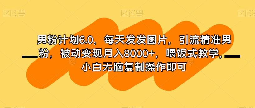 男粉计划6.0，每天发发图片，引流精准男粉，被动变现月入8000+，喂饭式教学，小白无脑复制操作即可-揽颜居工坊