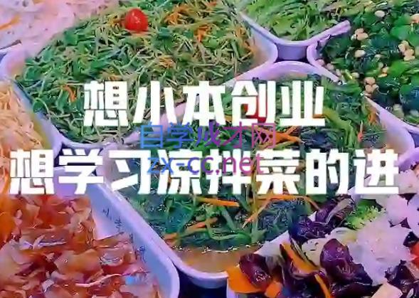 李记·精品凉拌菜系列热卤系列教程-揽颜居工坊