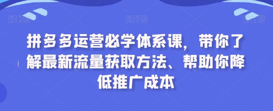 拼多多运营必学体系课，带你了解最新流量获取方法、帮助你降低推广成本-揽颜居工坊
