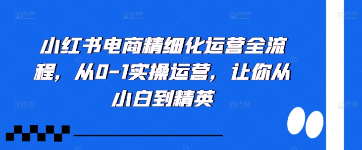 小红书电商精细化运营全流程,从0-1实操运营,让你从小白到精英